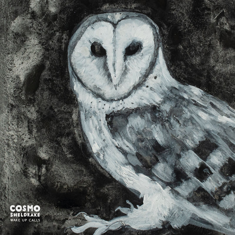 Dawn Chorus - Cosmo Sheldrake