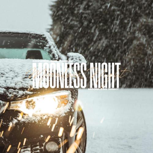 Coswick, D&S, Ambian - Moonless Night