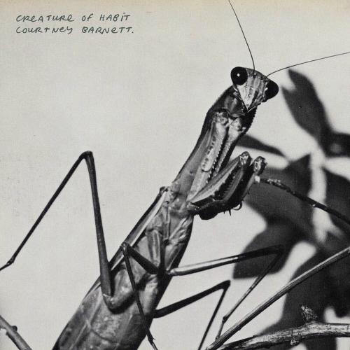 Courtney Barnett - Mantis