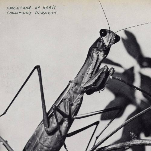 Courtney Barnett - One Thing At A Time