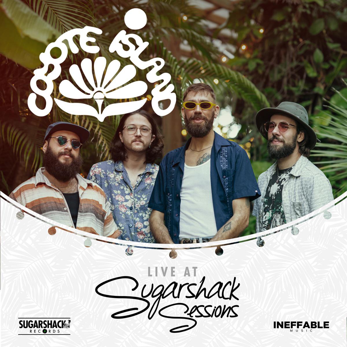 Where Have You Been (Live at Sugarshack Sessions) - Coyote Island