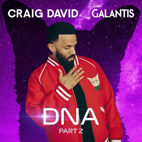 Dna (Part 2) - Craig David & Galantis