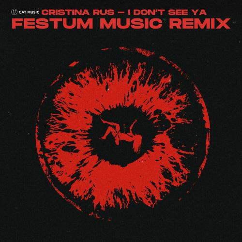 I Dont See Ya (Festum Music Remix) - Cristina Rus