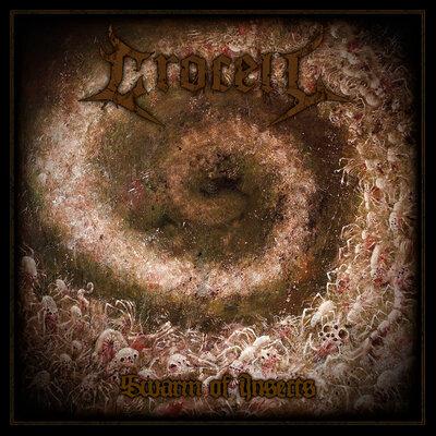 Swarm of Insects - Crocell
