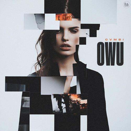 OWU - cvmbi