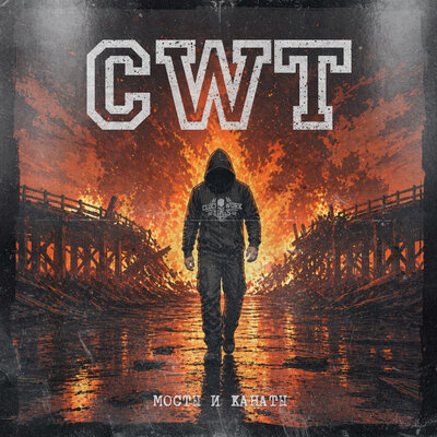 CWT - Мосты и канаты