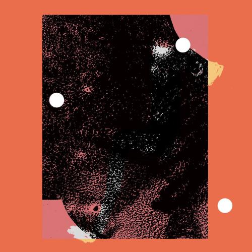 D.D Dumbo - Walrus