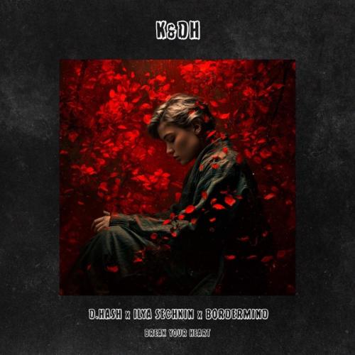 D.HASH, ILYA SECHKIN & BORDERMIND - Break Your Heart
