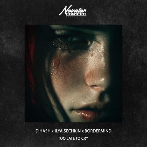 D.HASH, ILYA SECHKIN & BORDERMIND - Too Late to Cry