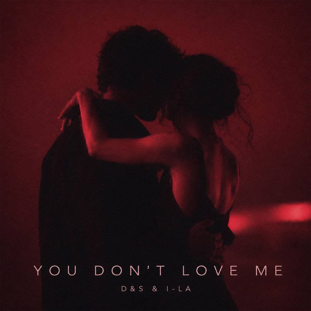 You Don't Love Me - D & S & i-La