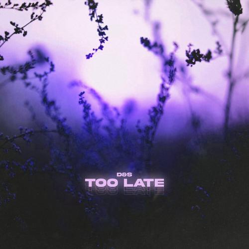 D&S - Too Late (Speed up)