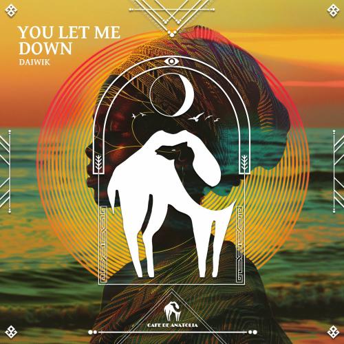 Daiwik & Cafe De Anatolia - You Let Me Down