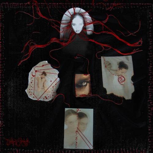 DAKOOKA - Агрессия