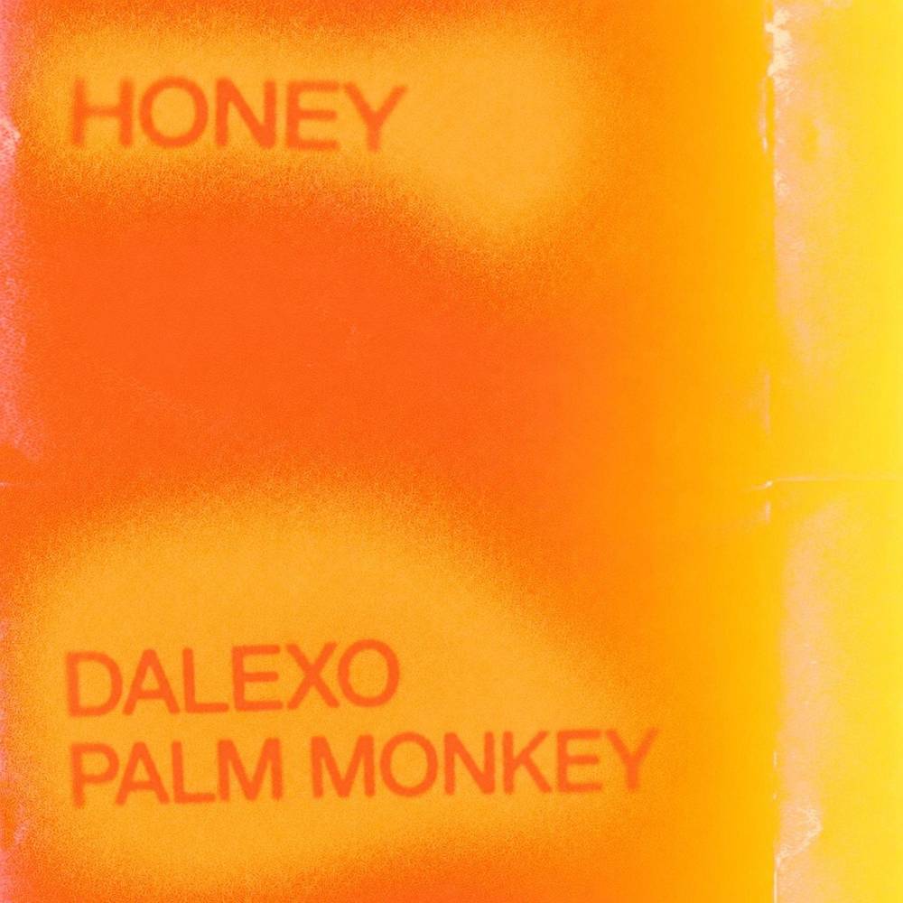 HONEY - DALEXO & Palm Monkey