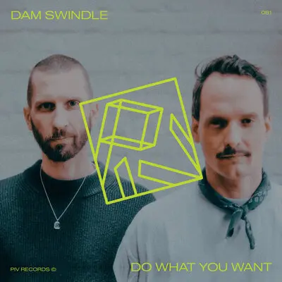 Do What You Want - Dam Swindle