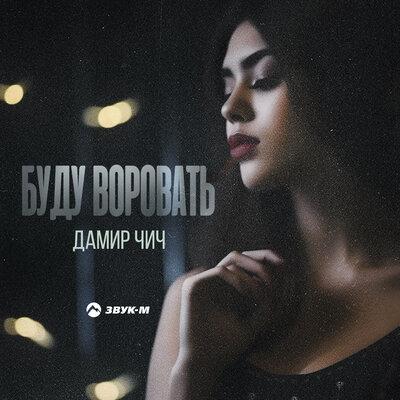 Буду воровать - Дамир Чич