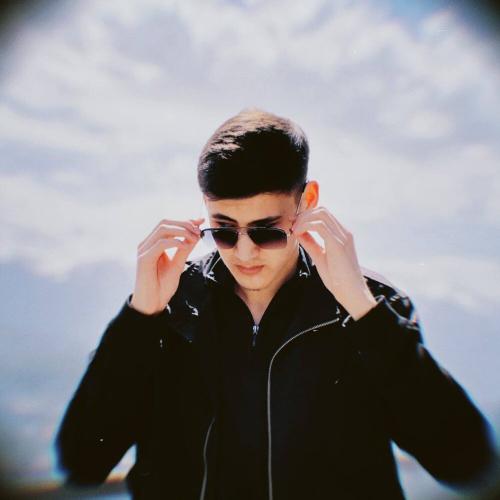 Damir - SEN