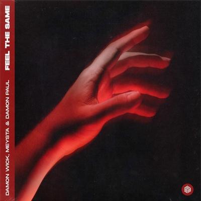 Damon Wick, MEYSTA, Damon Paul - Feel The Same