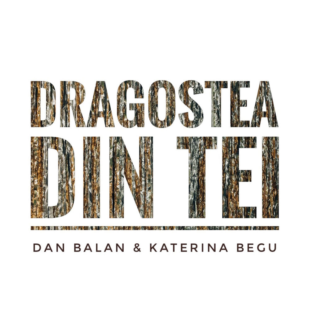 Dragostea Din Tei - Dan Balan feat. Katerina Begu