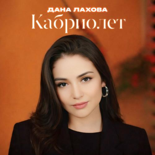 Дана Лахова - Совсем чужой