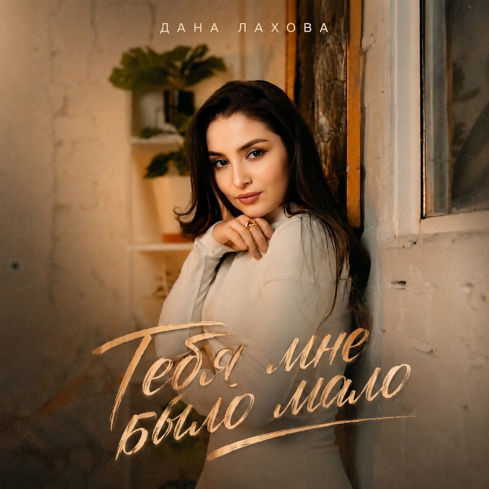 Тебя мне было мало - Дана Лахова