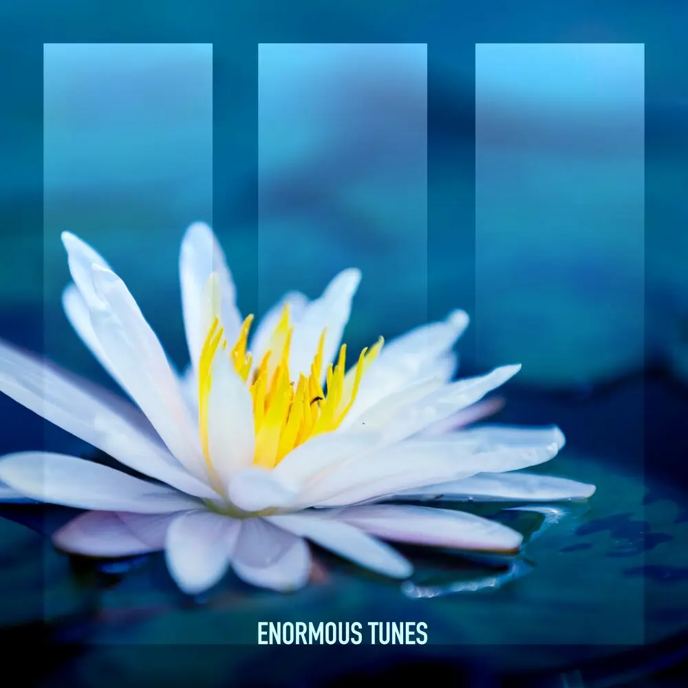 White Lotus - Daniel Portman