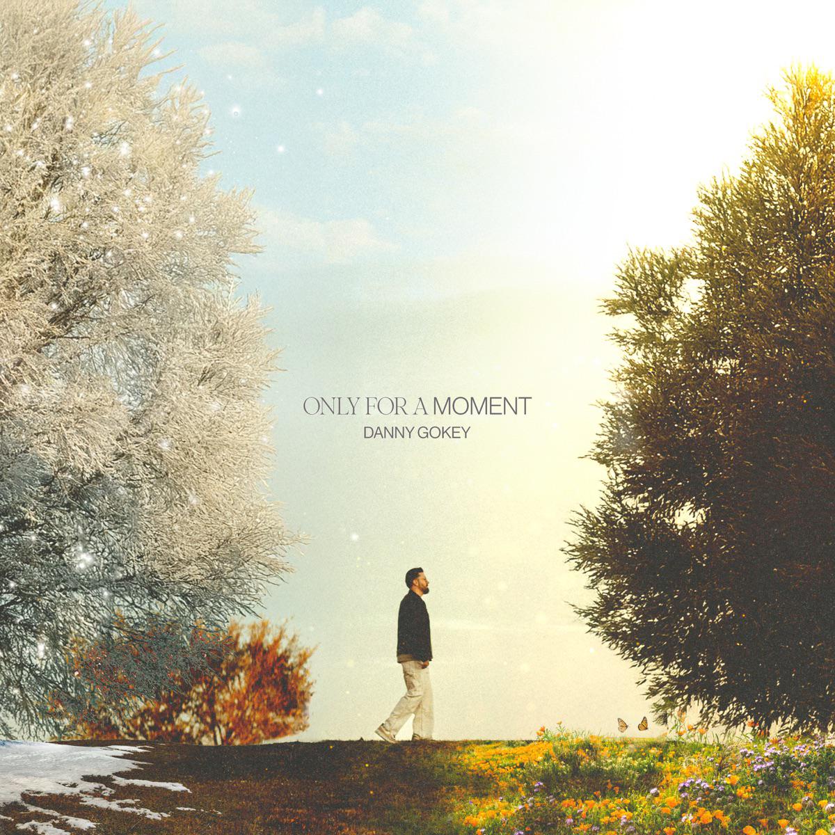 Only For A Moment (Radio Version) - Danny Gokey