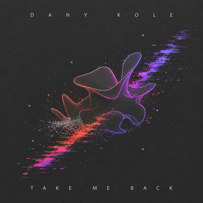 Take Me Back - Dany Kole