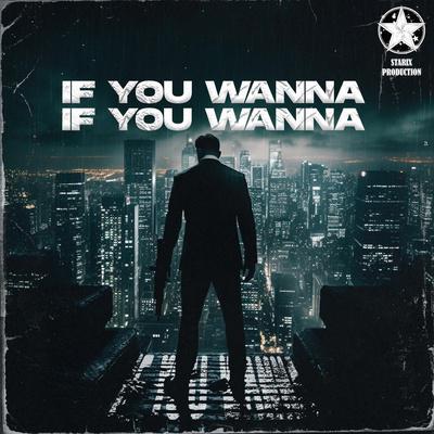 Danyro - If You Wanna