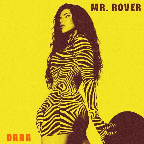 DARA - Mr. Rover