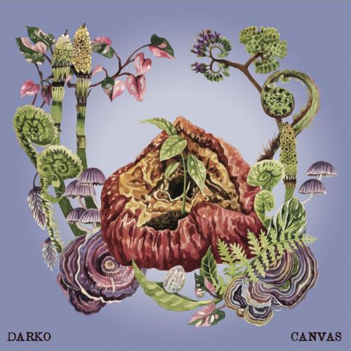 DARKO - Hectic