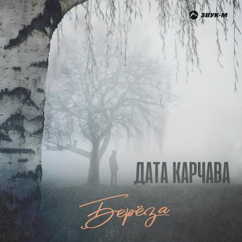 Дата Карчава - Берёза
