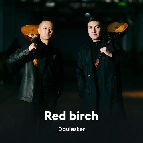 Daulesker - Red birch