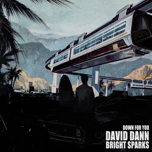 David Dann & Bright Sparks - Down For You