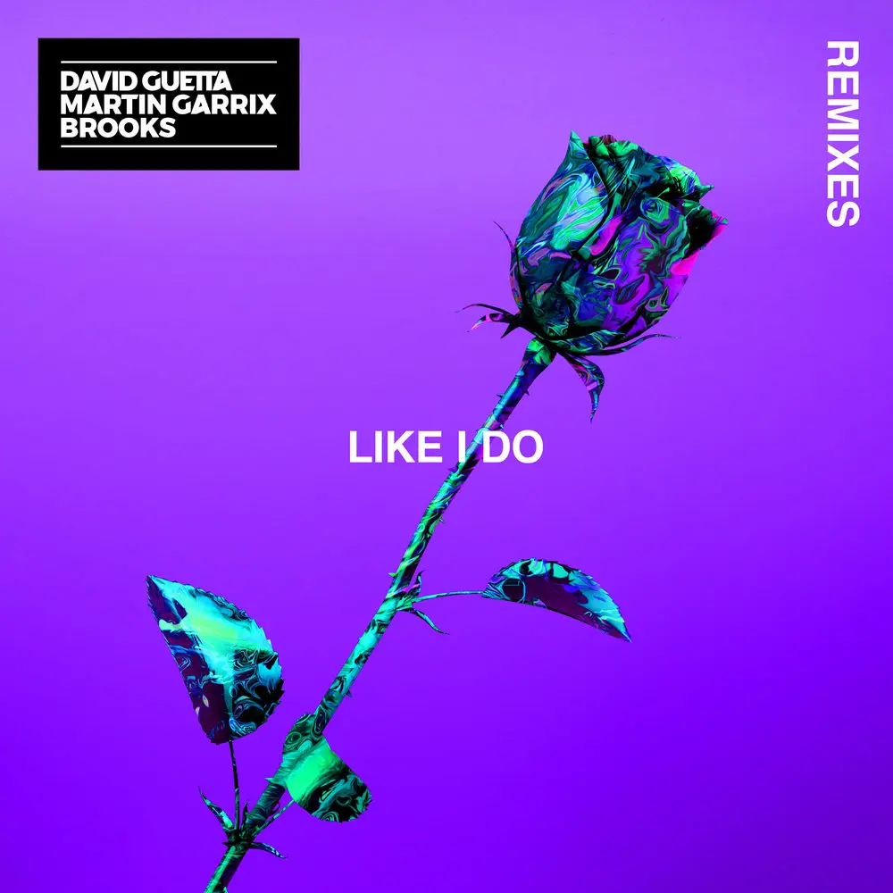 Like I Do (Foxa & Conor Ross Remix) - David Guetta, Martin Garrix, Brooks, Conor Ross, Foxa