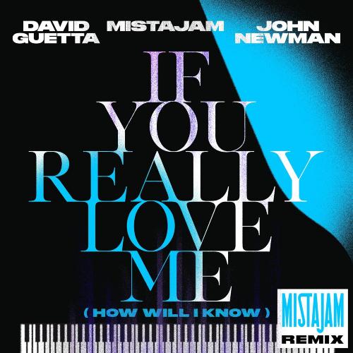 David Guetta, MistaJam & John Newman - If You Really Love Me (How Will I Know) (MistaJam Remix)
