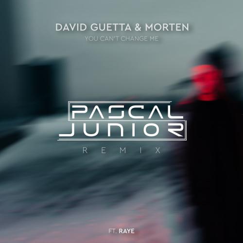 David Guetta & MORTEN feat. Raye - You Can't Change Me (Pascal Junior Remix)