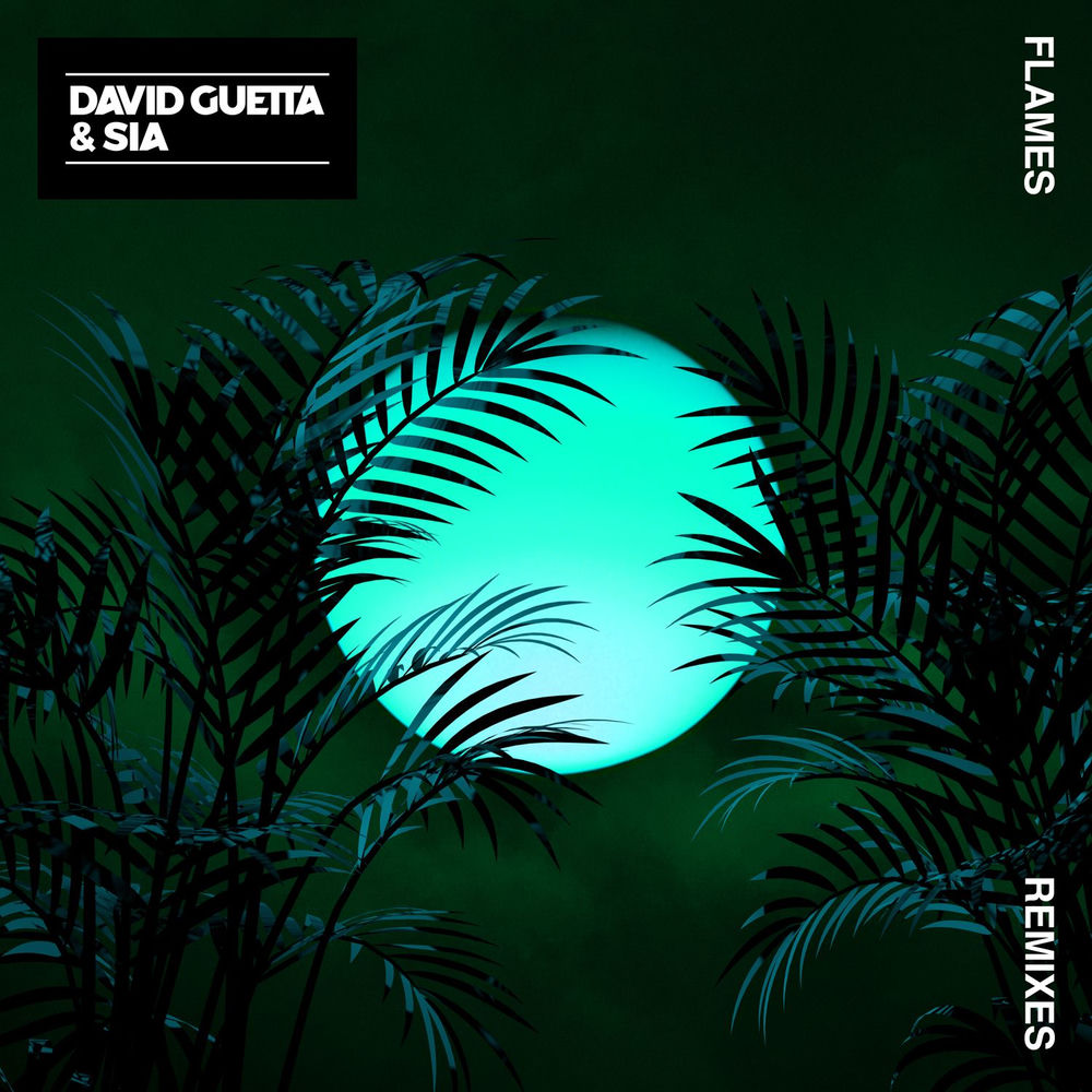 Flames (Robin Schulz Remix) (Feat. Robin Schulz) - David Guetta & Sia feat. Robin Schulz
