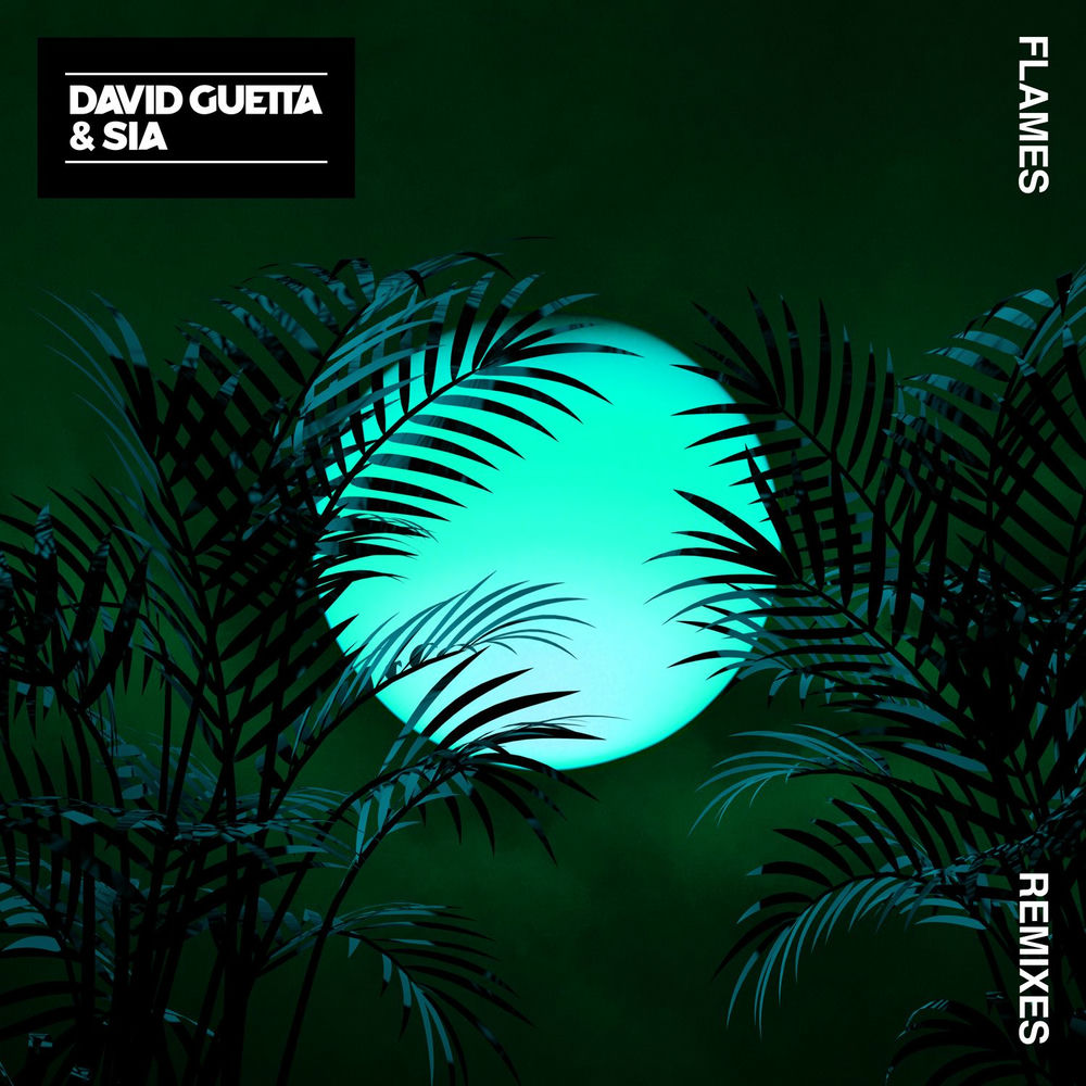 Flames (Vladimir Cauchemar Remix) - David Guetta & Sia feat. Vladimir Cauchemar