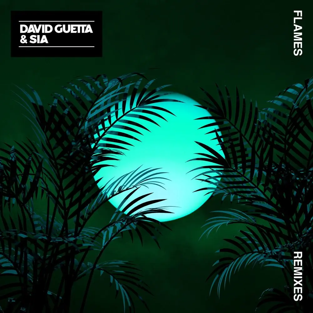 Flames (Tom Martin Remix) - David Guetta, Sia, Tom Martin