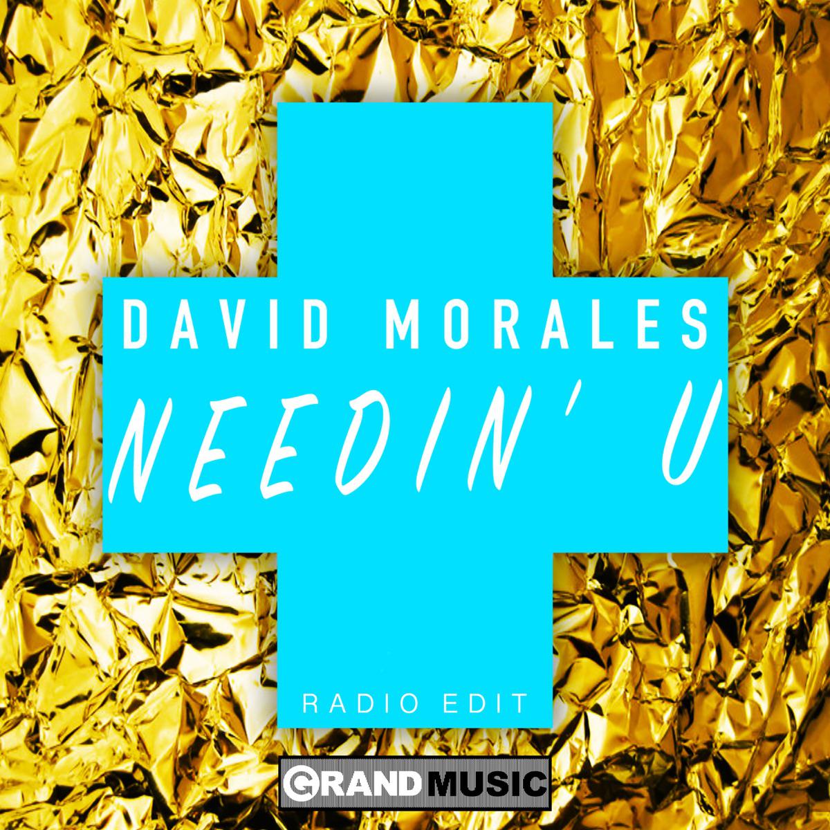 Needin U (feat. The Face) [Radio Edit] - David Morales