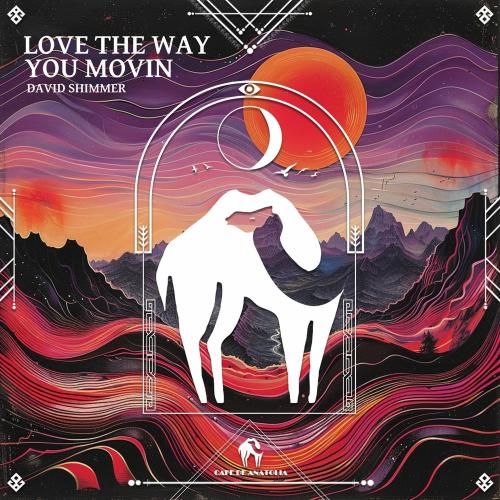 David Shimmer & Cafe De Anatolia - Love The Way You Movin