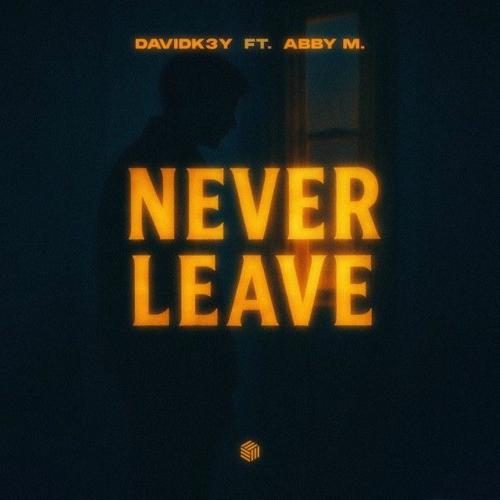 DavidK3y feat. Abby M. - Never Leave