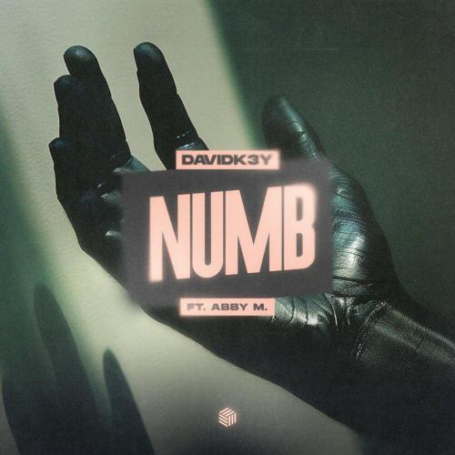 DavidK3y - Numb