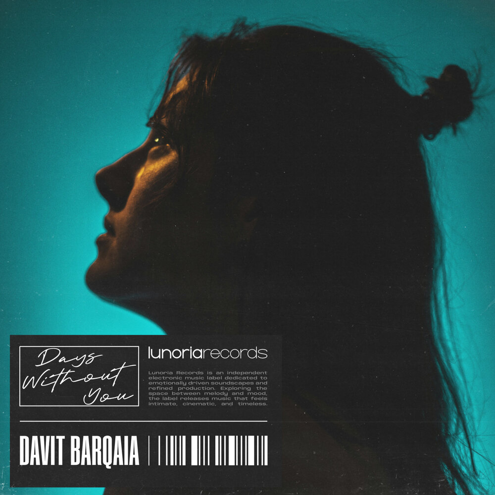 Days Without You - Davit Barqaia