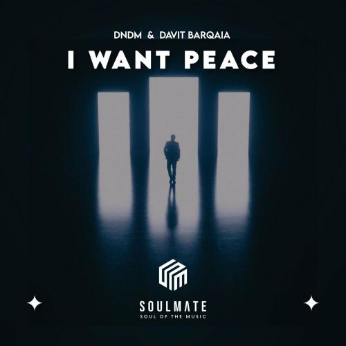 I Want Peace - Davit Barqaia & DNDM