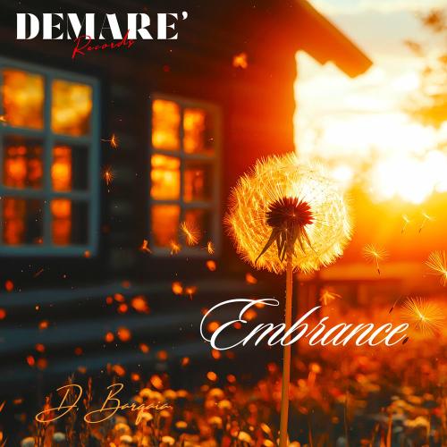 Davit Barqaia - Embrance