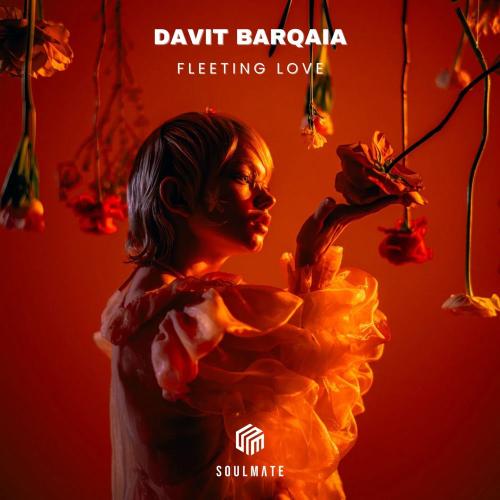 Davit Barqaia - Fleeting Love