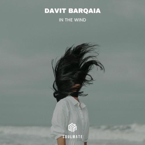Davit Barqaia - In The Wind