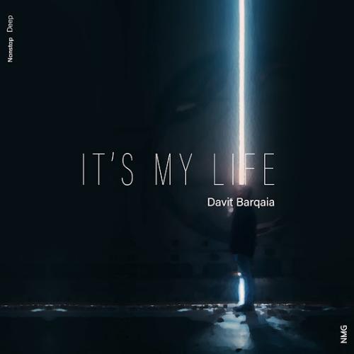 Davit Barqaia & NMG - It's My Life